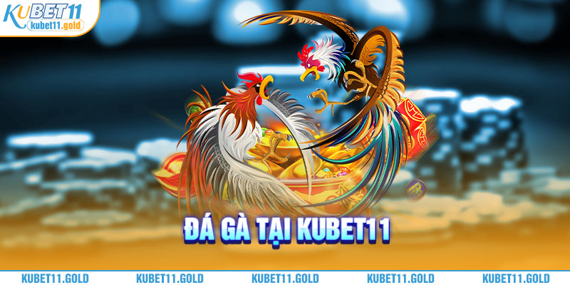 Đá gà tại Kubet11